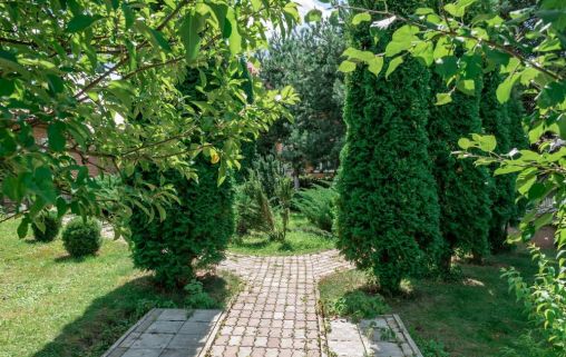 «Подольск»